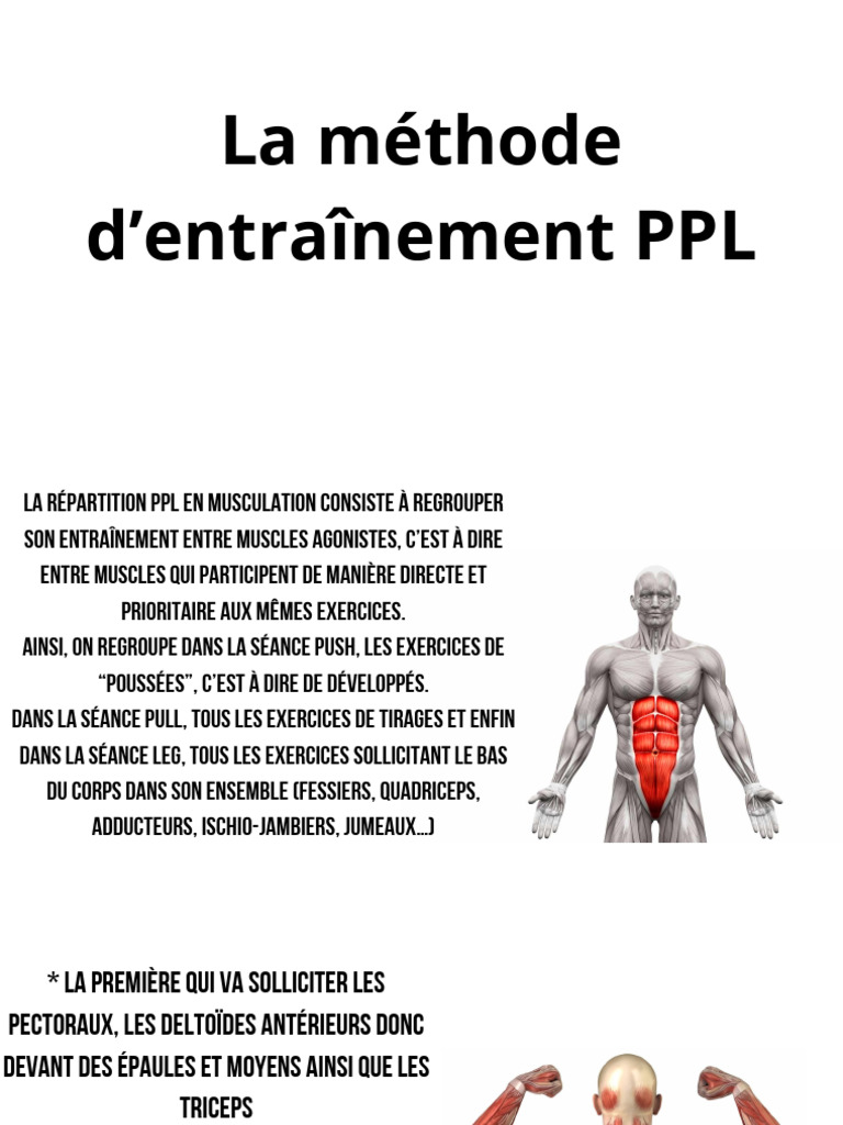 La Méthode D'entraînement PPL Muscu | PDF | Appareil locomoteur ...