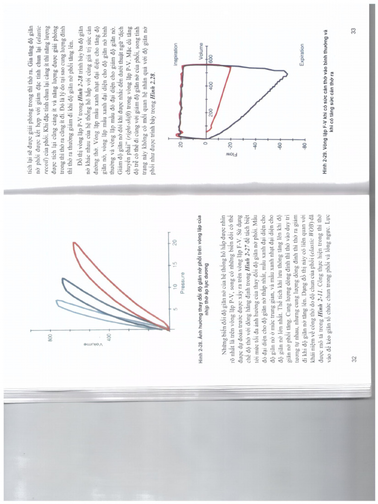 32 33 | PDF