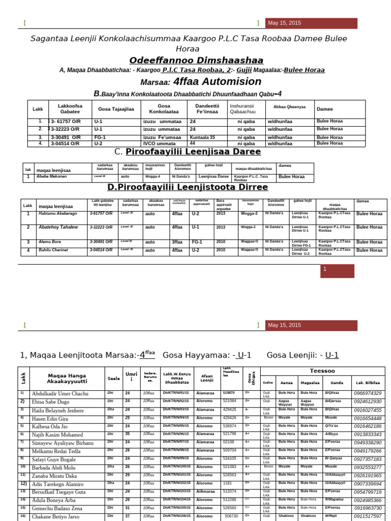 4ffaa Automision: Odeeffannoo Dimshaashaa | PDF