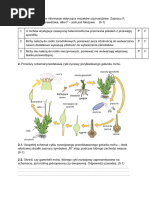 test-6-roznorodnosc-bezkregowcow-pdf