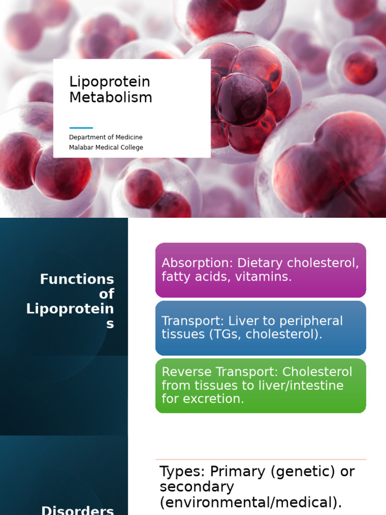 Lipoprotein Metabolism and Disorders | PDF | Lipoprotein | High Density ...