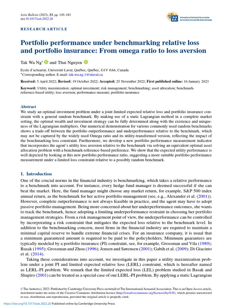 Portfolio Performance Under Benchmarking Relative Loss and Portfolio ...