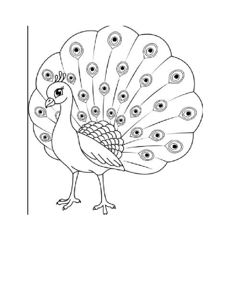 Printable Pics Tiger and Peacock | PDF