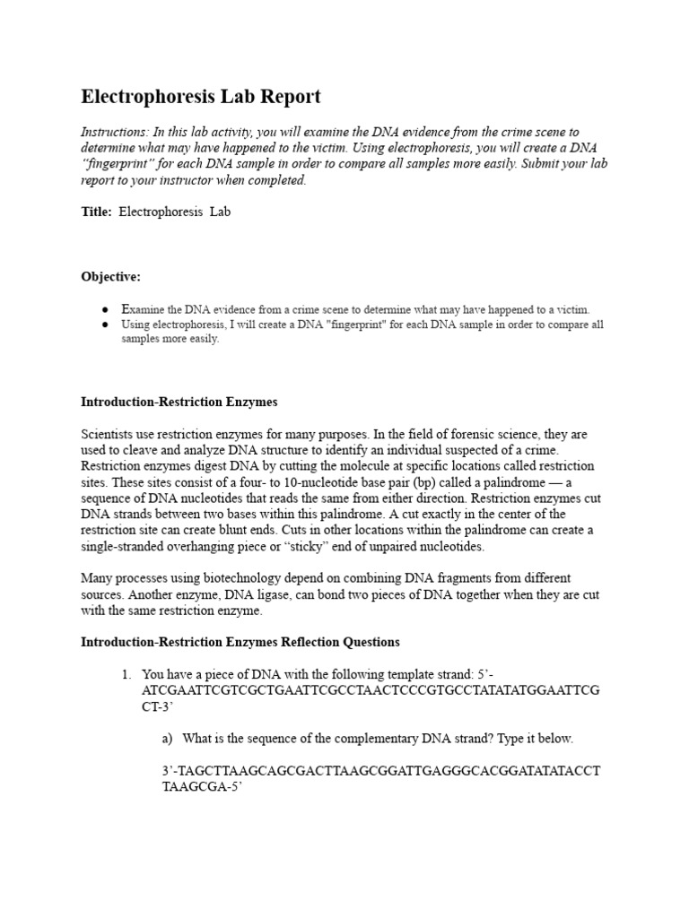 DNA Fingerprinting via Electrophoresis Lab | PDF | Restriction Enzyme ...