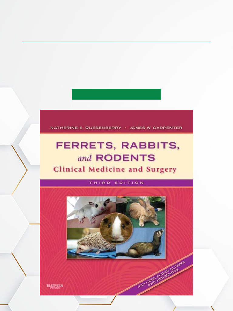 Ferrets, Rabbits and Rodents Clinical Medicine and Surgery - 3rd