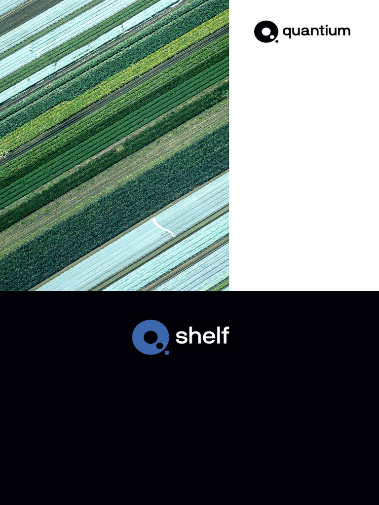 Quantium Q.Shelf Brochure Updated | PDF | Retail | Brand