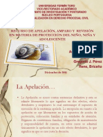 Expo Recurso PDF