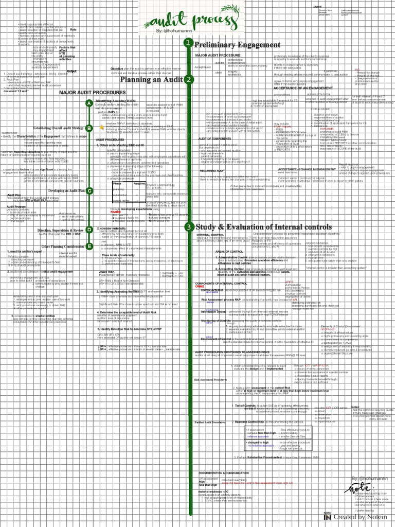 AUDIT PROCESS No Highlights | PDF
