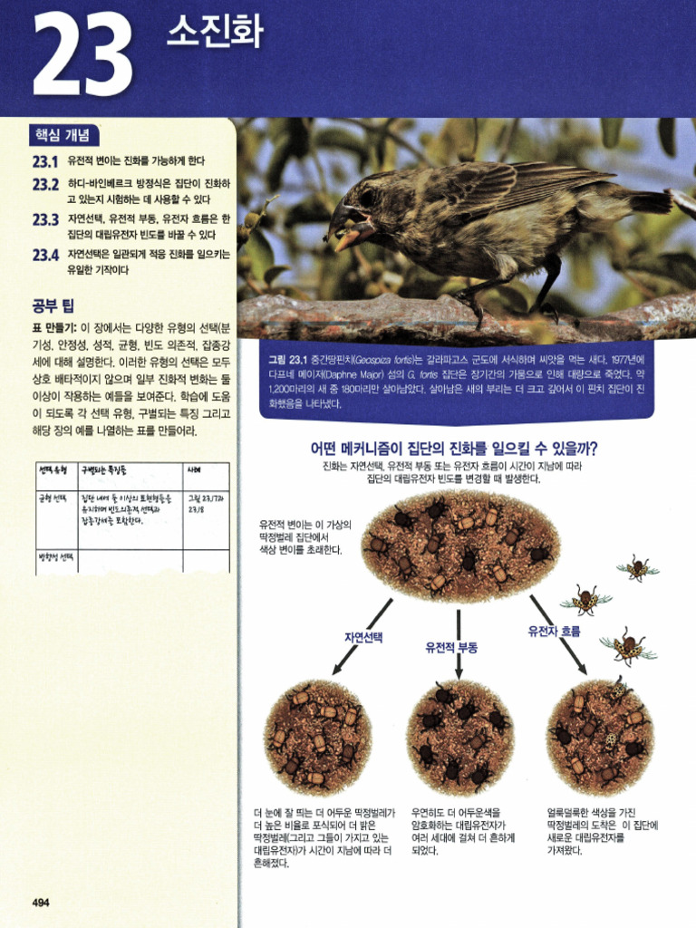 캠벨 생명과학 12판-1 | PDF