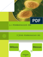 3.1pembahagian Sel