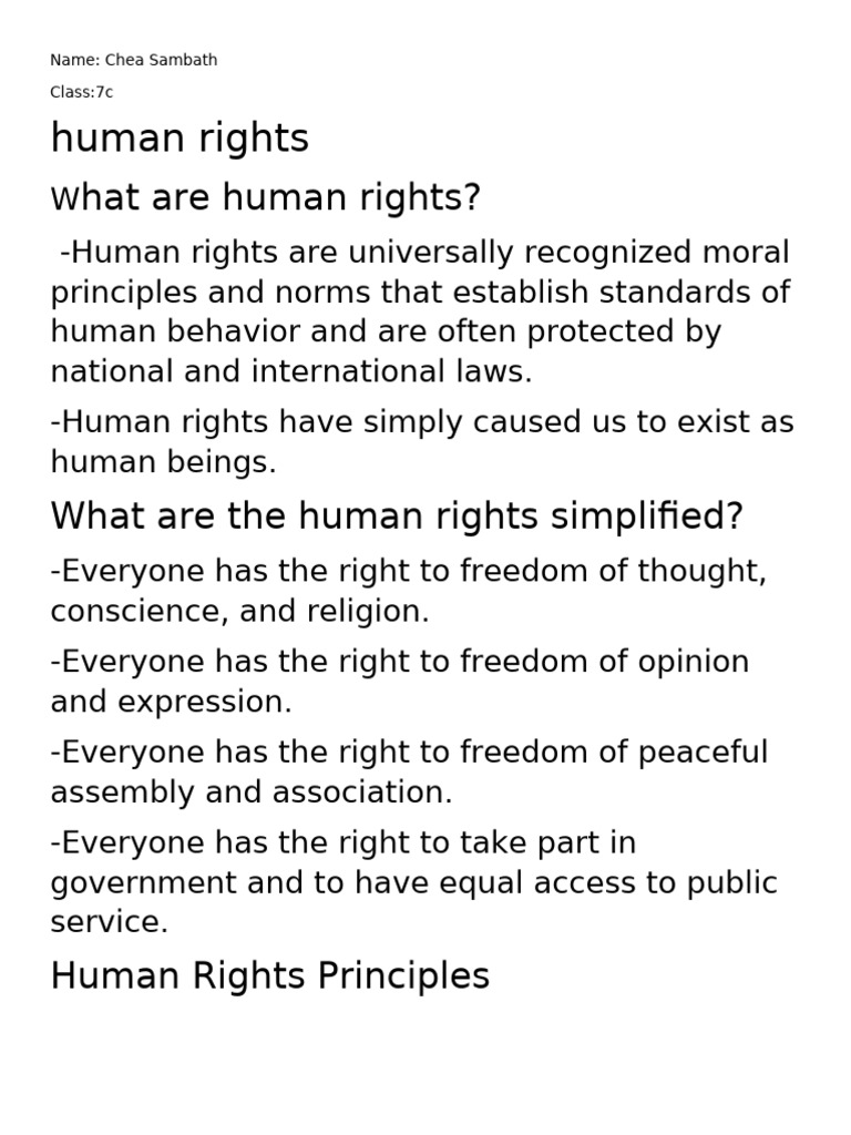 Understanding Human Rights Basics | PDF