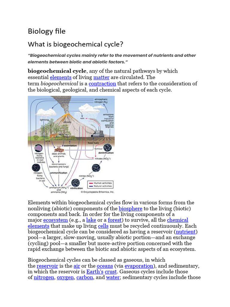 Understanding Biogeochemical Cycles | PDF | Carbon Cycle | Ecosystem