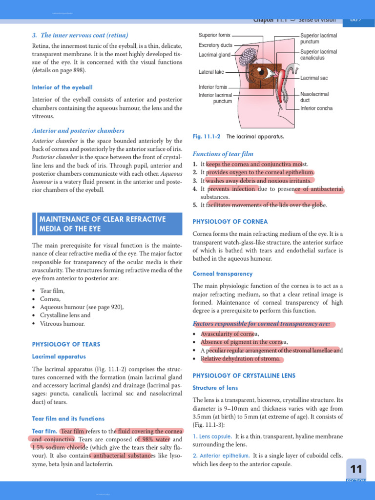 Anatomy and Physiology of the Eye | PDF | Myopia | Visual System