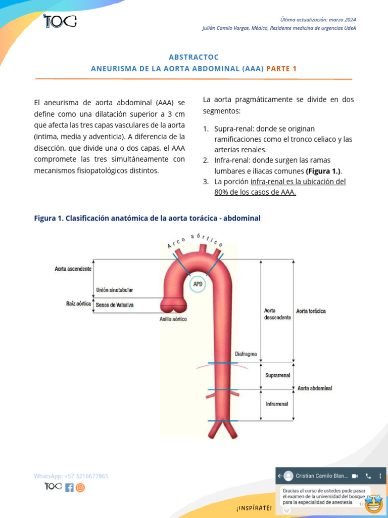 Aneurisma de La Aorta Abdominal AAA p1 | PDF | Aorta | Abdomen