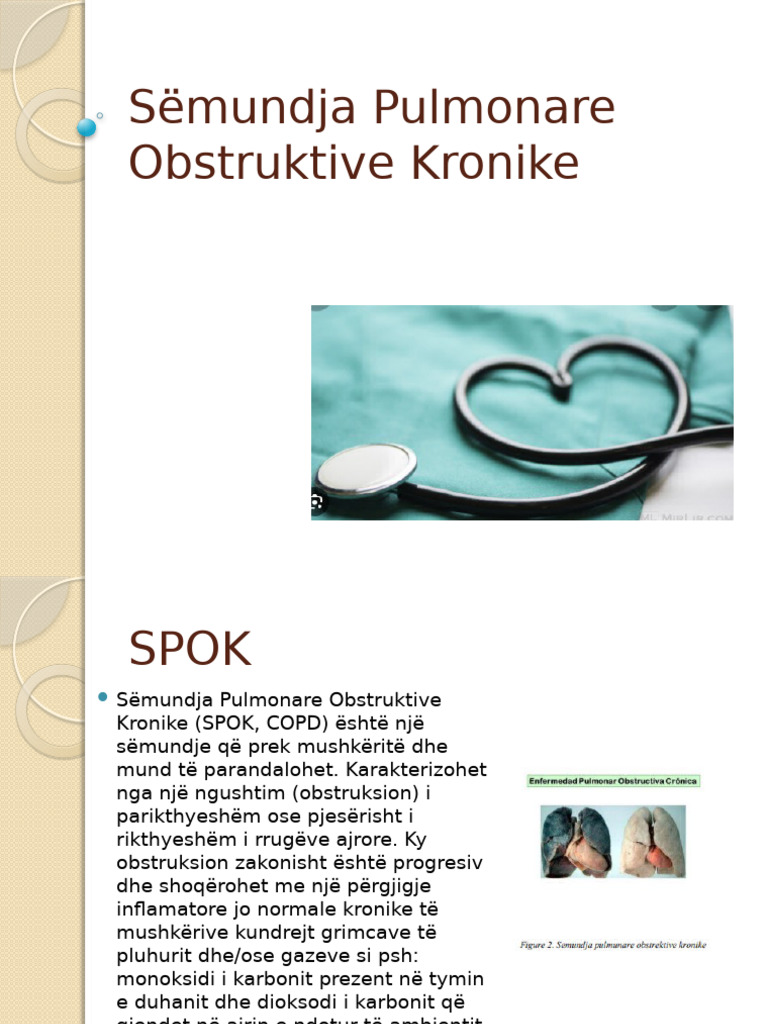 SPOK | PDF