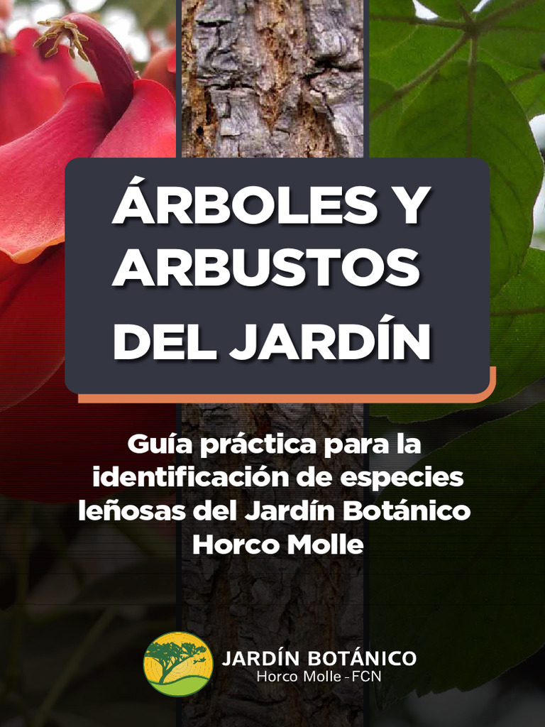 Identificación de arbustos en Horco Molle | PDF | Arboles | Botánica