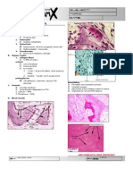 Bone, Joint and Soft Tissue