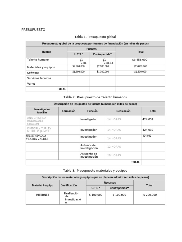 Presupuesto Detallado de Proyecto | PDF | Presupuesto | Citación