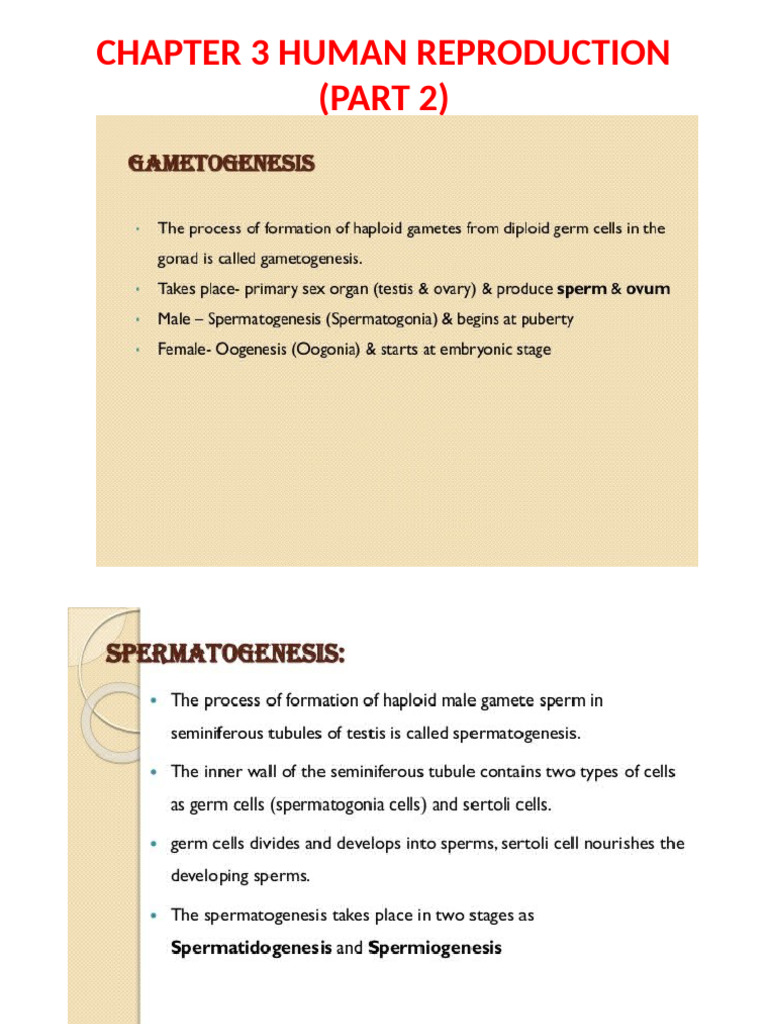 Class 12 Chap 3 Part2 | PDF