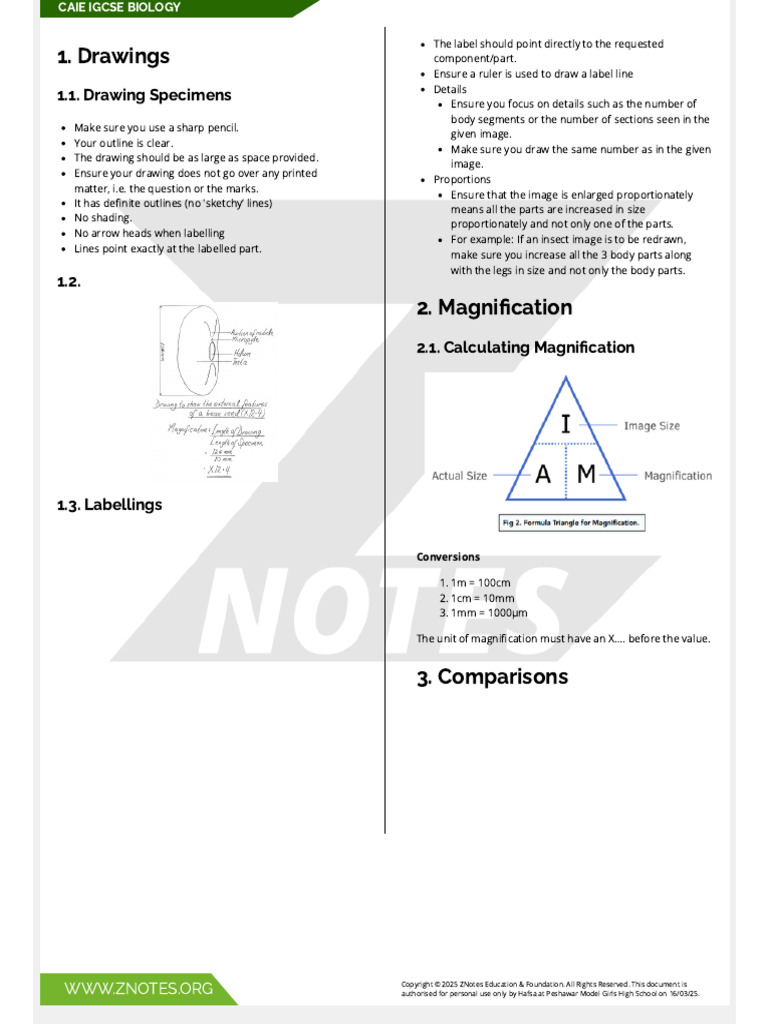 IGCSE Biology Drawing and Experiment Guide | PDF | Cellular Respiration ...
