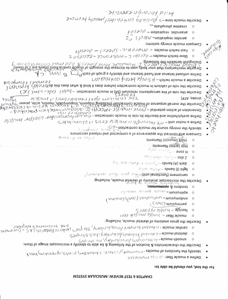 Encrypted Text Analysis | PDF