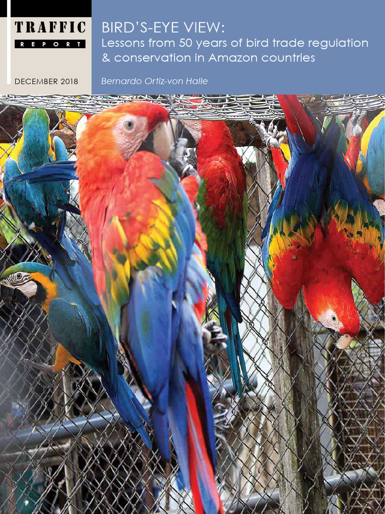 Bird Trade Regulation in Amazon Countries | PDF | Conservation Biology ...