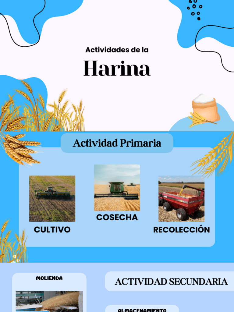Circuito Productivo de la Harina | PDF