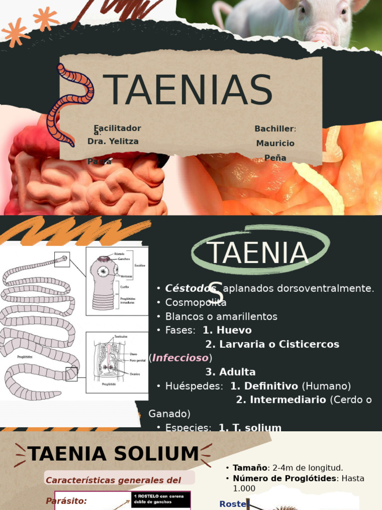 TENIASIS | PDF | Especialidades Medicas | Enfermedades y trastornos