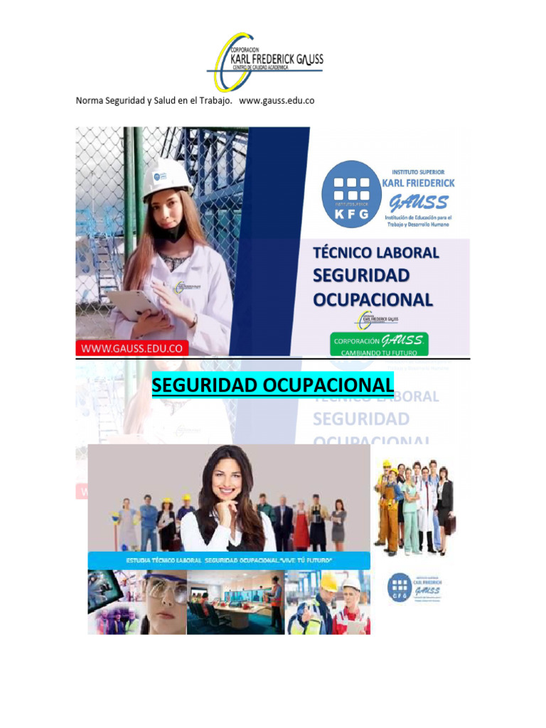 Seguridad y Salud en el Trabajo | PDF | Seguridad y salud ocupacional ...