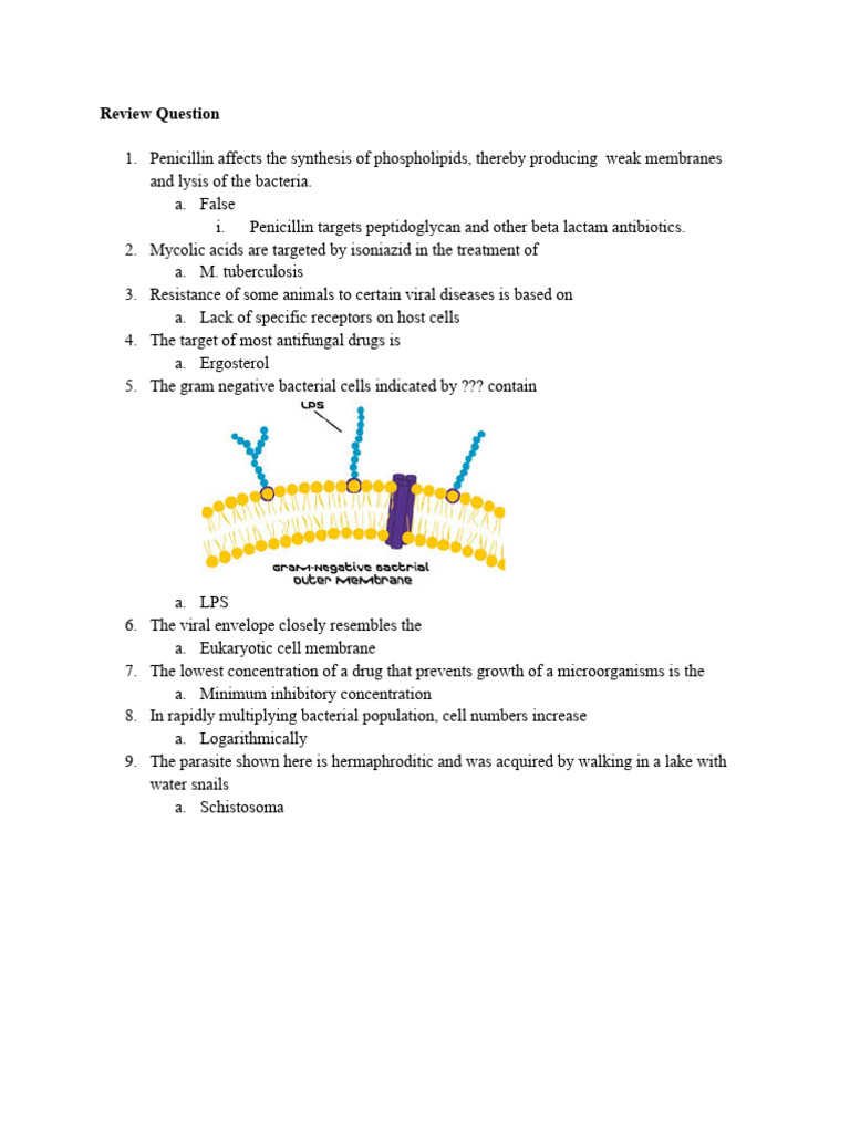Viral Envelope and Eukaryotic Membranes | PDF | Virus | Bacteria