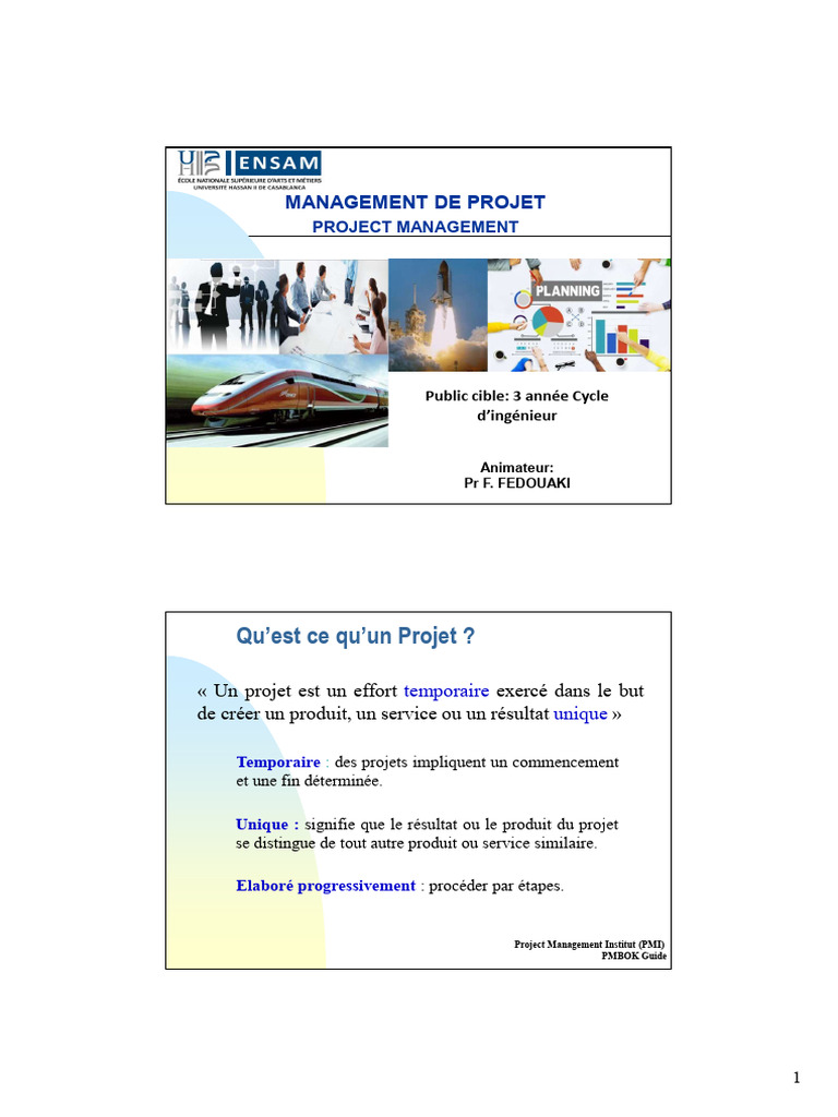 Introduction au Management de Projet | PDF | Business | Gestion de projet