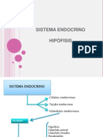Sistema Endocrino-Hipofisis