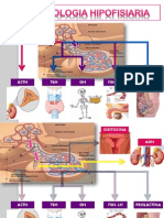 Adenomas Hipofisiarios