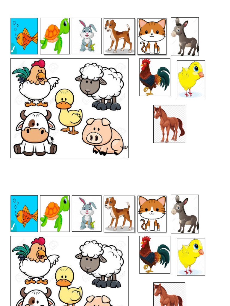 Animales | PDF