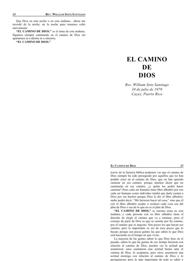 El Camino de Dios: Reflexiones Espirituales | PDF | Noé | Arca de Noé