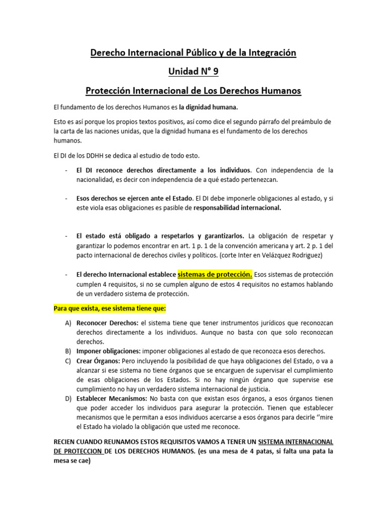 Protección Internacional de Derechos Humanos | PDF | Ley humanitaria ...