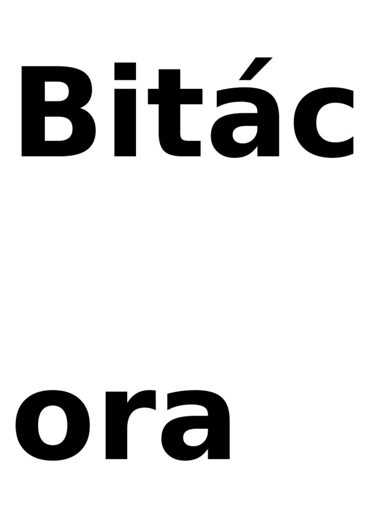 Bitácora | PDF