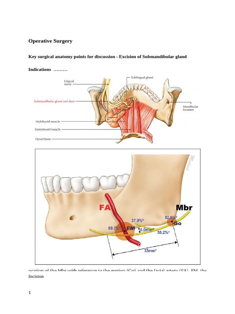 Submandibular Gland Surgical Anatomy | PDF | Anatomical Terms Of ...