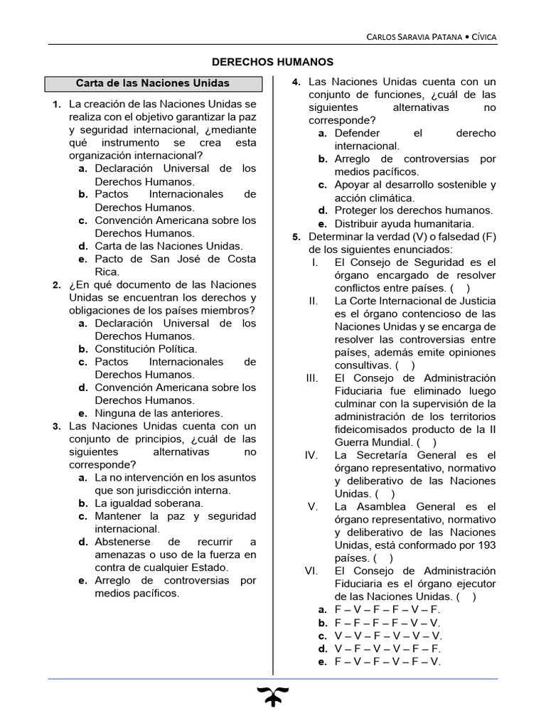 Derechos Humanos y CNU-ONU | PDF | Naciones Unidas | Relaciones ...