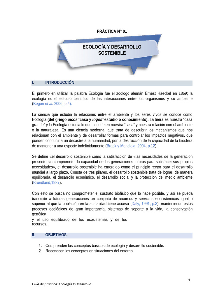 Practica N 1 | PDF | Sustentabilidad | Ecología