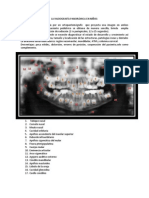 Radiografía Panorámica en Niños