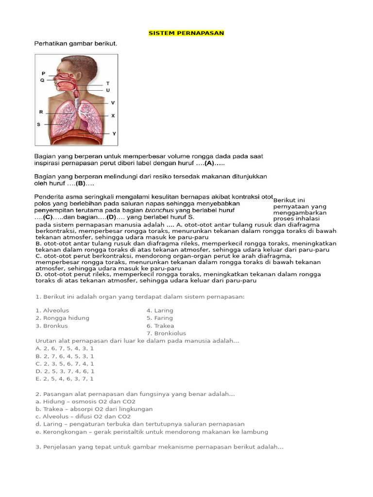 Proses Inhalasi dalam Sistem Pernapasan | PDF