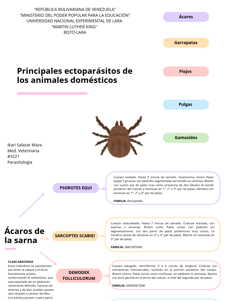 Mapa Conceptual Conceptos Ideas Creativo Multicolor Pastel PDF | PDF ...