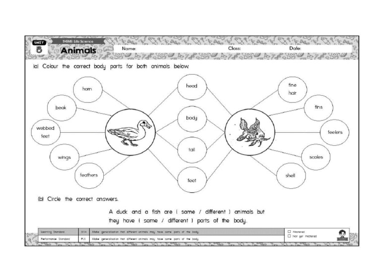 Activity 1 | PDF