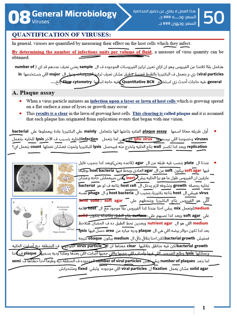 Lec 8 | PDF