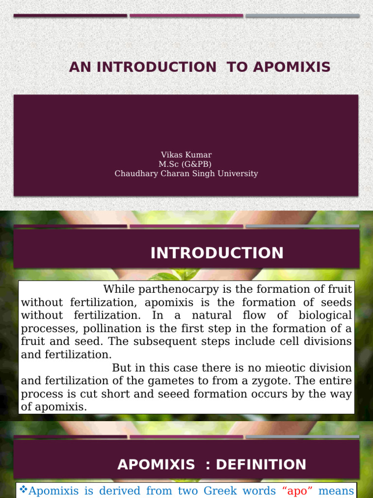 Overview of Apomixis in Plants | PDF | Fertilisation | Hybrid (Biology)