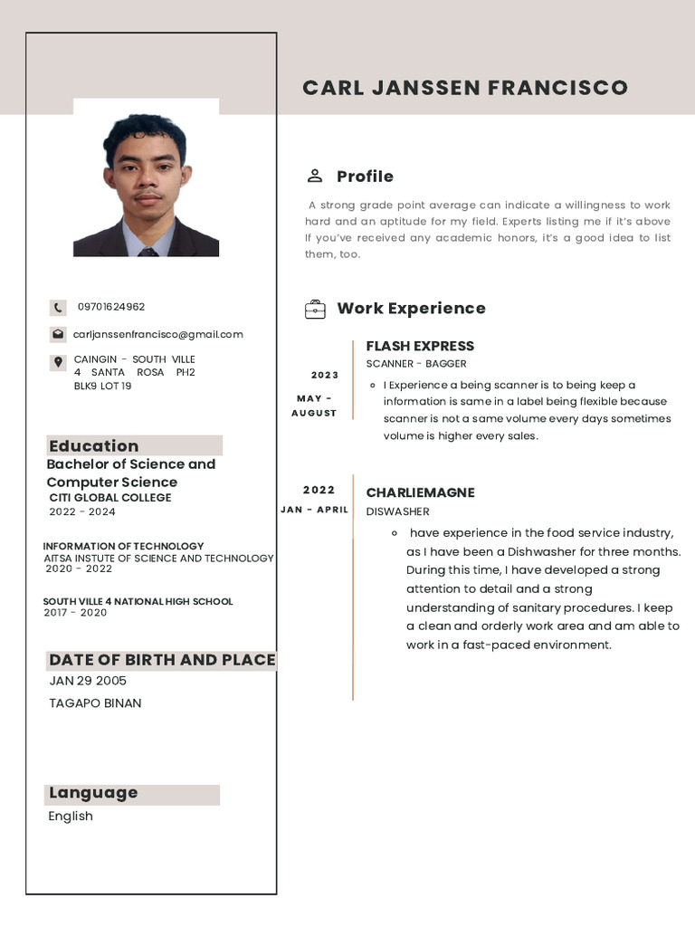 Simple Professional CV Resume | PDF