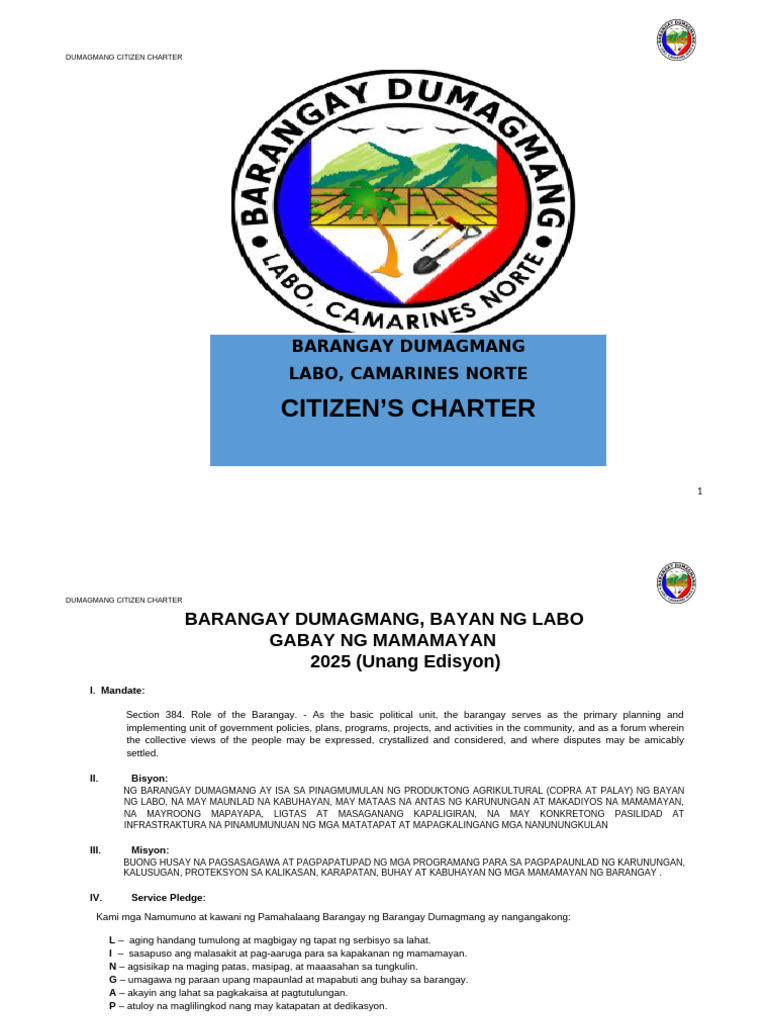 Barangay Dumagmang Citizen Charter | PDF
