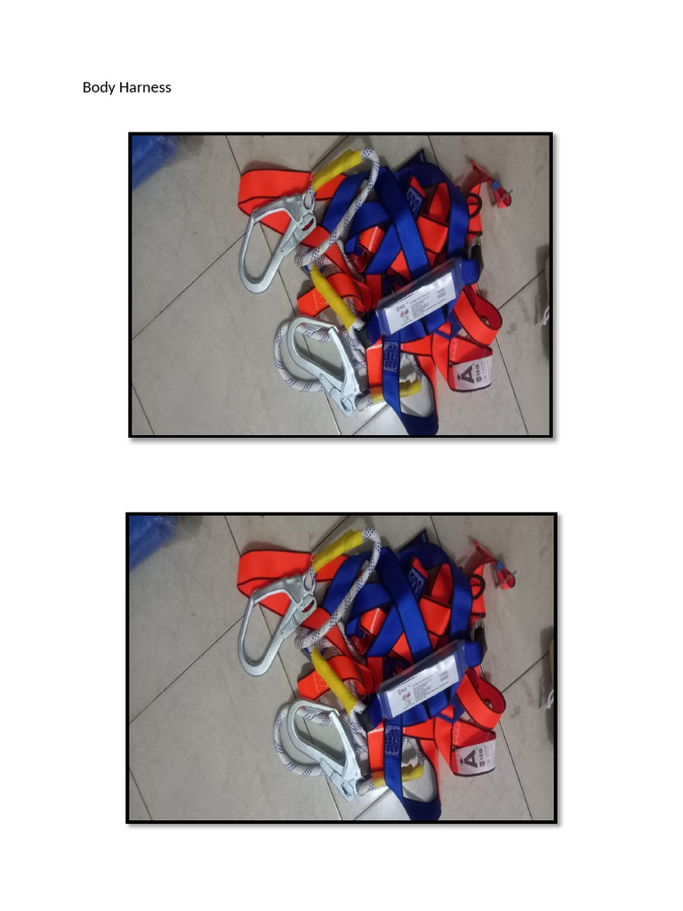 Body Harness | PDF