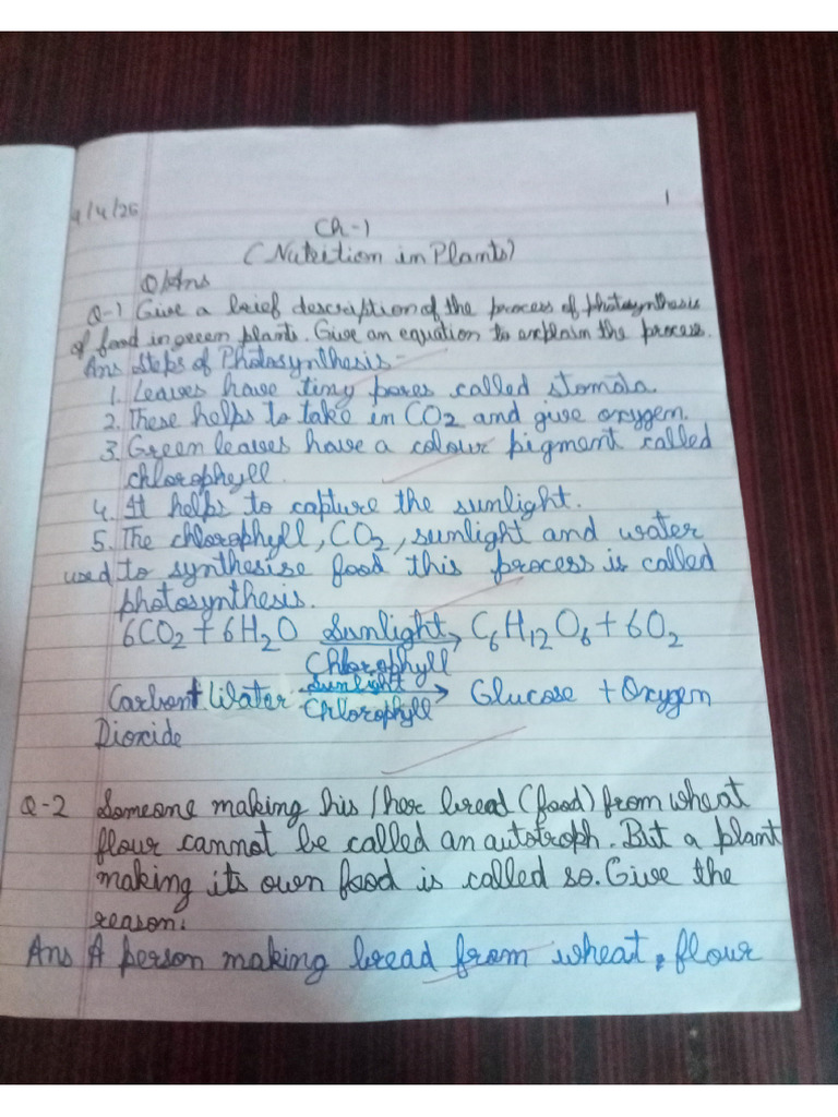 Science Chapter - 1,5 | PDF